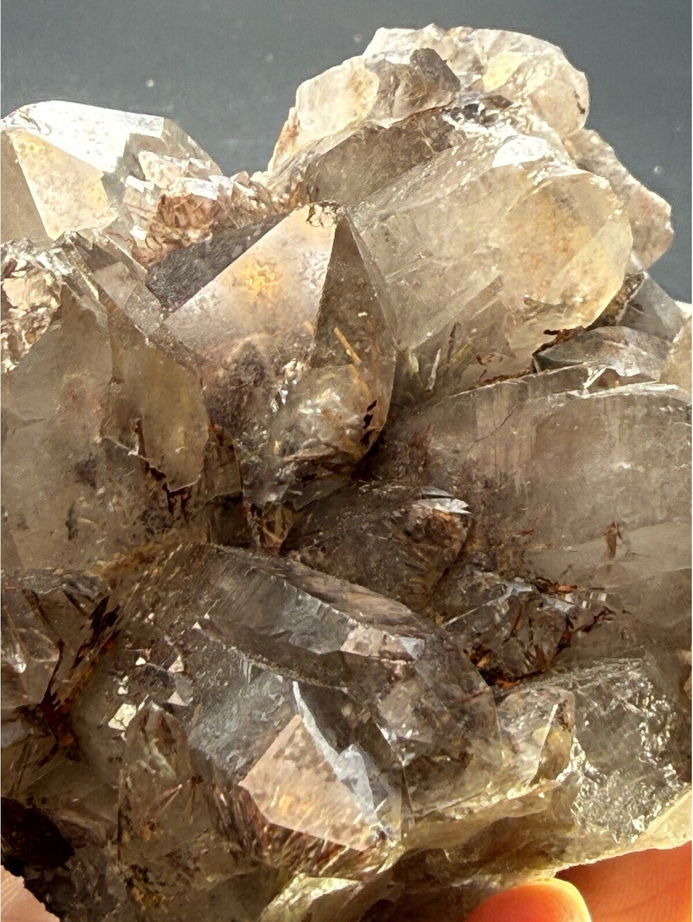 Rare Asylum Quartz Crystal Cluster Congo 1.2 lb, 533g Collector Mineral Specimen
